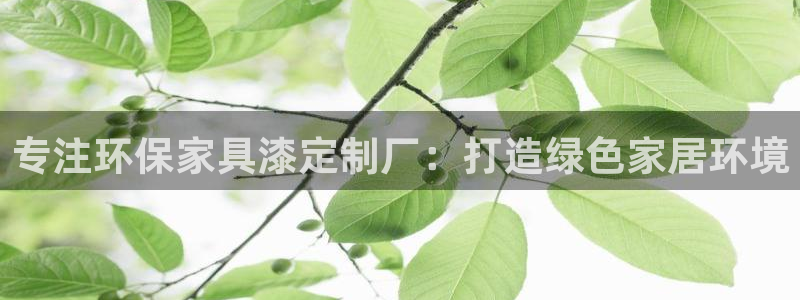 杏耀注册杏耀登陆：专注环保家具漆定制厂：打造绿色家居环境