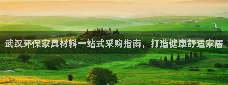 杏耀登入官网：武汉环保家具材料一站式采购指南，打造健康舒适家